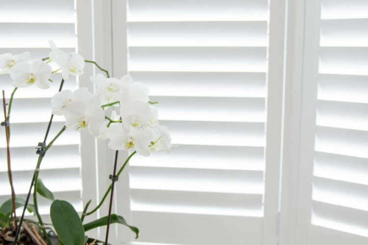 smart blinds